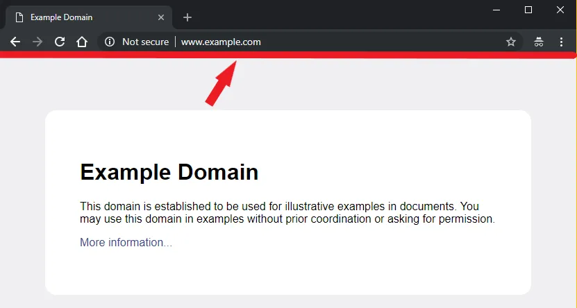 Web browser showing not secure warning and example domain URL illustrating address bar spoofing and fake website scam risk