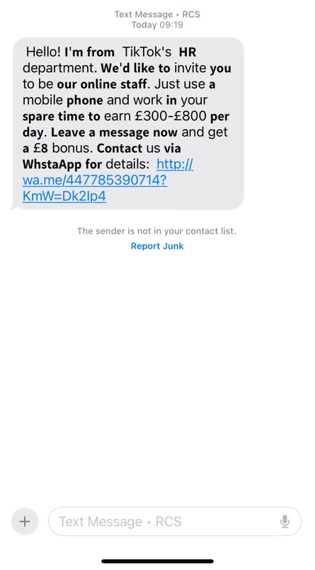 AI generated recruiter conducting a fake video interview used in a job scam